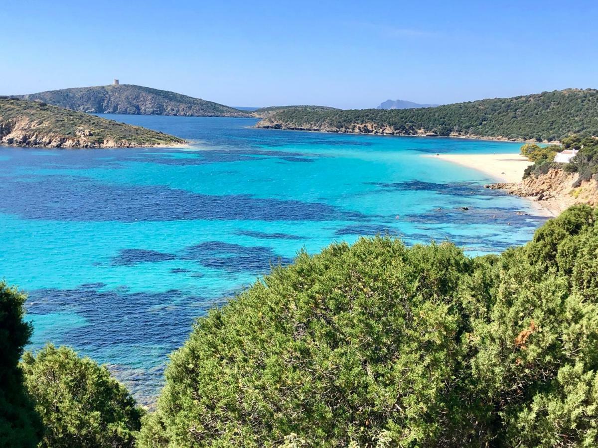 Villa Perdalonga, Vista Mare Sea View Tuerredda 툴라다 외부 사진